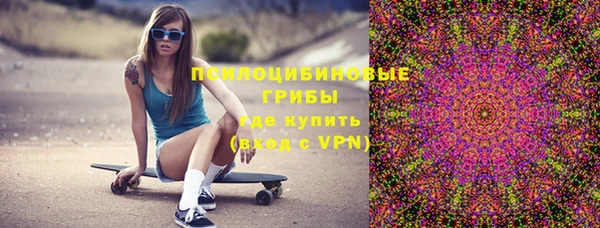 винт Алексин