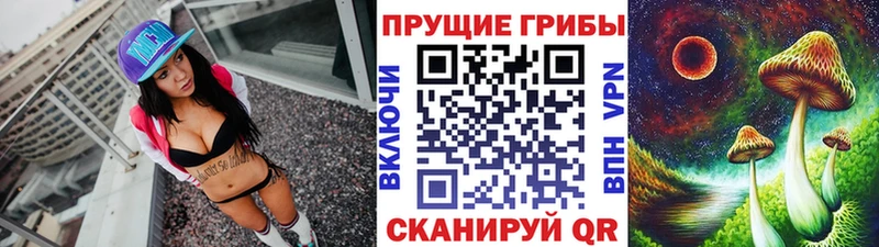 mega как зайти  Лесосибирск  Галлюциногенные грибы Magic Shrooms 