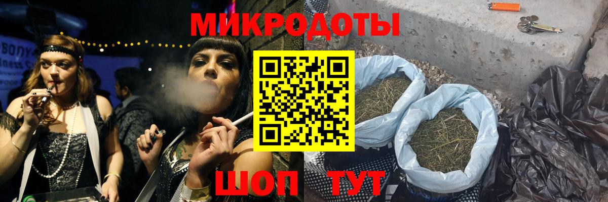 Псилоцибиновые грибы Psilocybe Лесосибирск